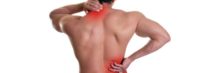 Chiropractic Victor NY Chiropractic Care Neck And Back Pain