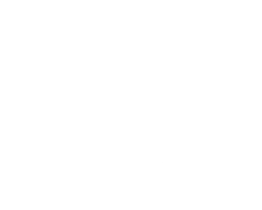 Chiropractic Victor NY Rhino Chiropractic
