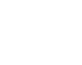 Chiropractic Victor NY Rhino Chiropractic