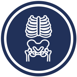 https://www.gorhinohealth.com/wp-content/uploads/bb-plugin/cache/Icon-X-Ray-circle.png